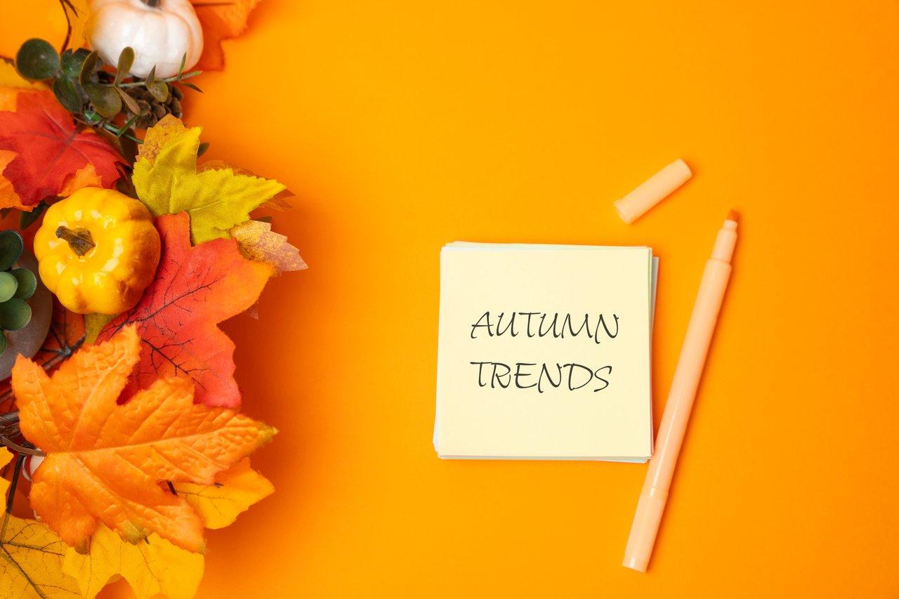 Les nouvelles tendances visuelles sur Instagram pour l’automne 2025